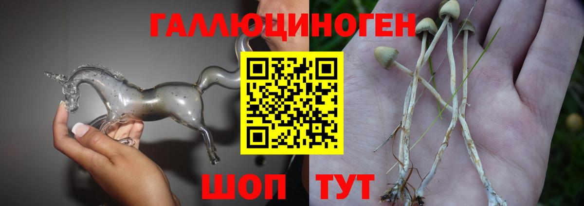 Галлюциногенные грибы мицелий Тамбов